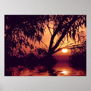 Poster de l'habitat du silhouette du coucher du so