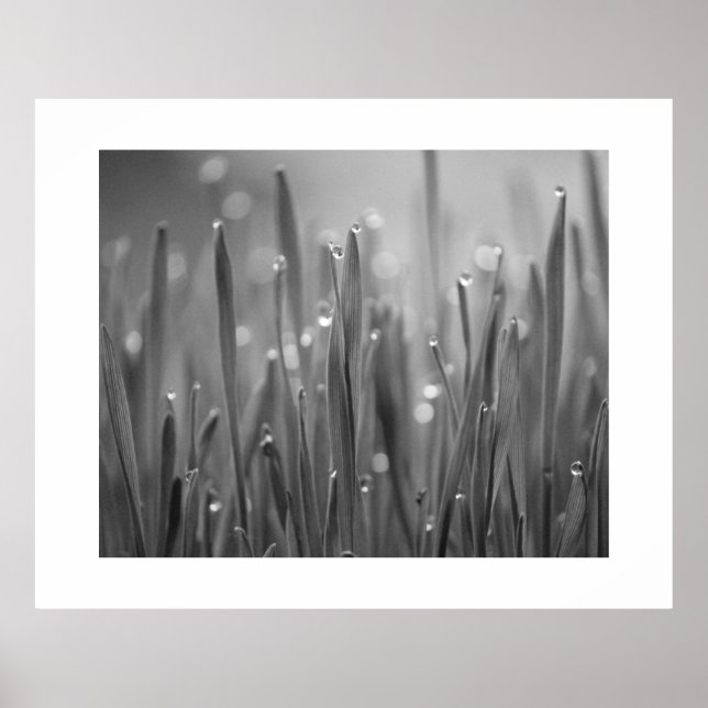 Poster de l'herbe avec droplets à mâcher (Devant)