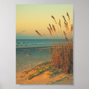 Poster de l'Herbe Sunrise Florida Beach Imprimer