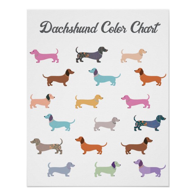 Poster de l'humour Dachshund Dog (Devant)