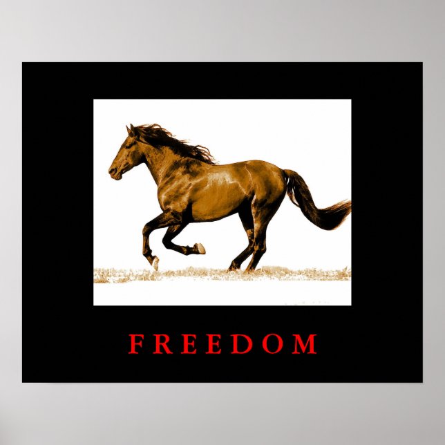 Poster de liberté motivationnelle du cheval de cou (Devant)