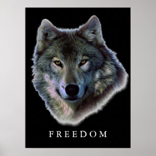 Poster de liberté motivée du loup gris Imprimer