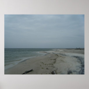 Poster de l'île Dauphin #2