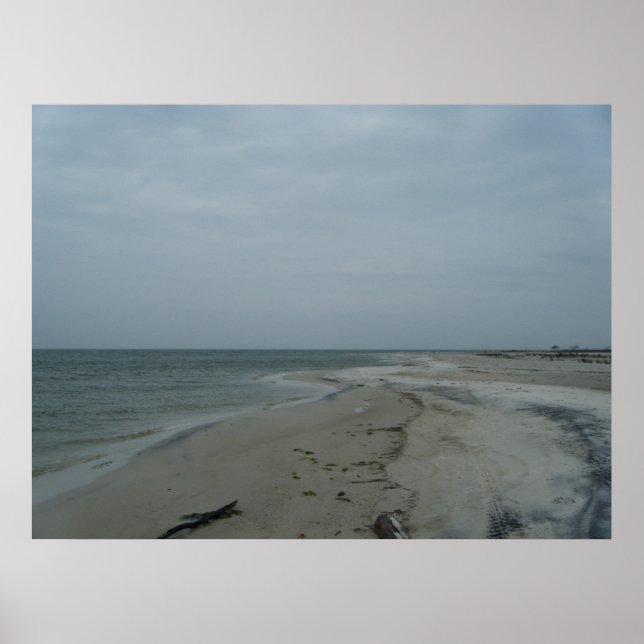 Poster de l'île Dauphin #2 (Devant)