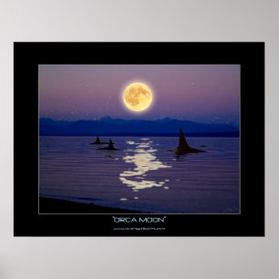 Poster de l'Imaginaire ORCA MOON