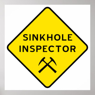 Poster de l'inspecteur Sinkhole