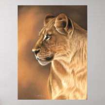 Poster de Lioness