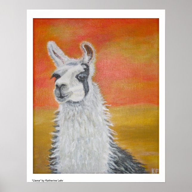 Poster de Llama (Devant)