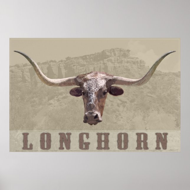 Poster de Longhorn Country -60x40 -autres tailles  (Devant)