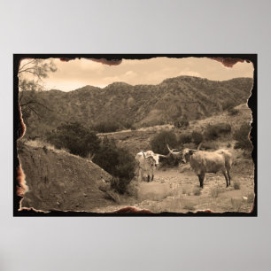 Poster de Longhorn Ravine Sepia -60x40
