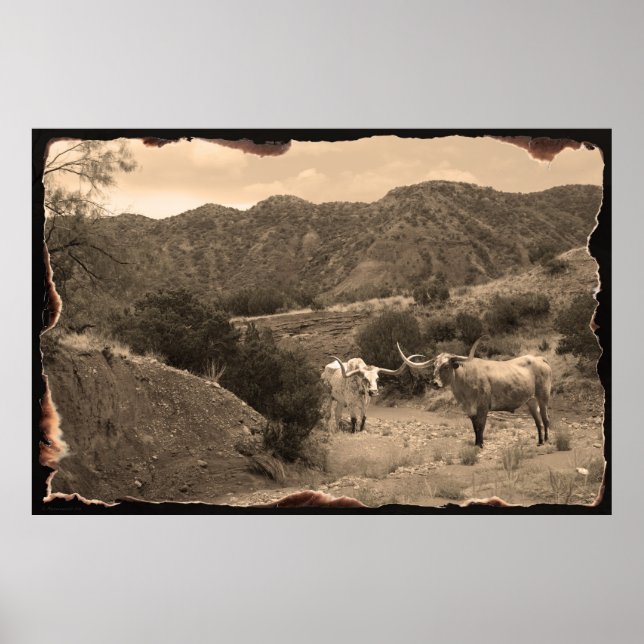 Poster de Longhorn Ravine Sepia -60x40 (Devant)