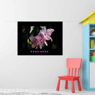 Poster de l'orchidée de Cattleya