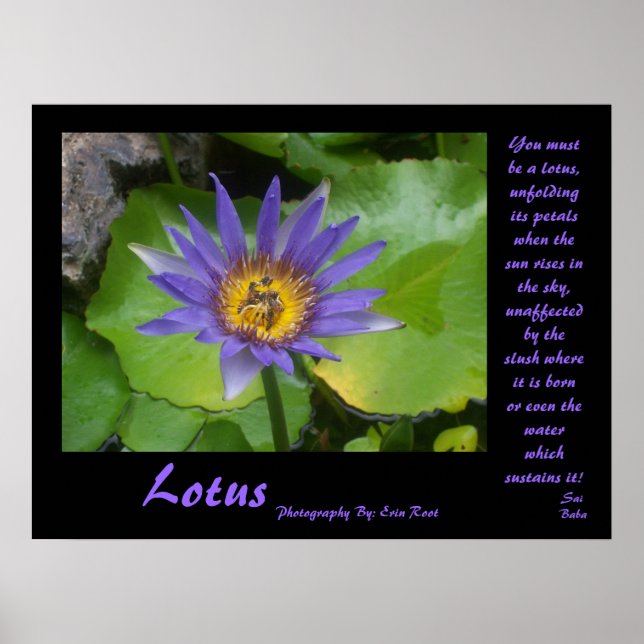 Poster de Lotus avec citations de Sai Baba (Devant)