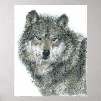 Poster de loup "Haunted Eyes" de l'artiste Carla K