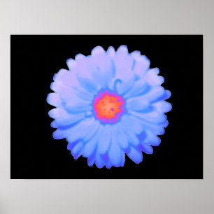 Poster de Marigold chaud et froid