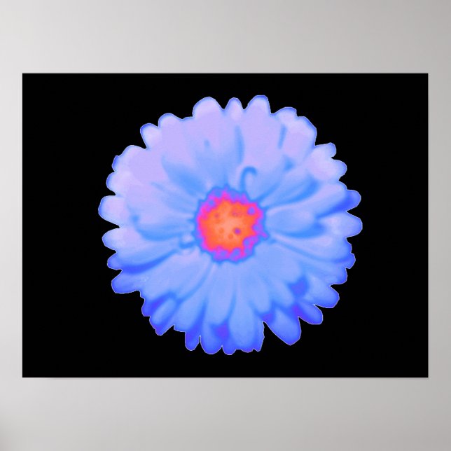 Poster de Marigold chaud et froid (Devant)
