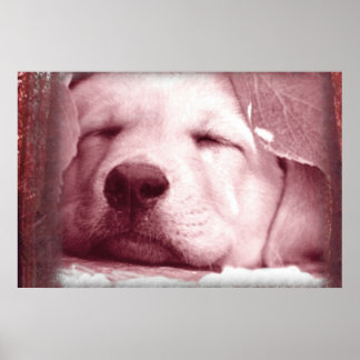 Poster de marionnettes couché