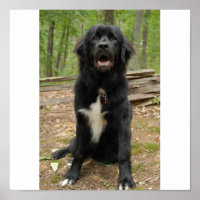 Poster de marionnettes de Terre-Neuve