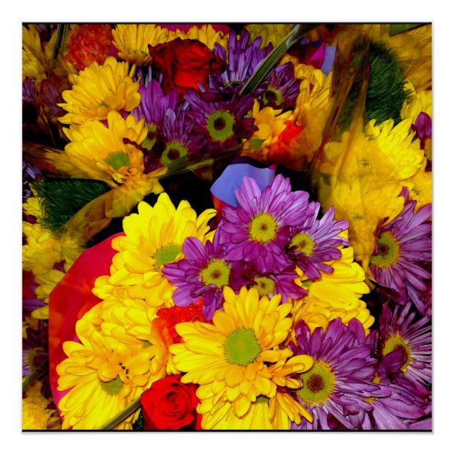 Poster de mélange de fleur marguerite multicolore (Devant)