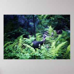 Poster de Mère Turquie dans les Ferns