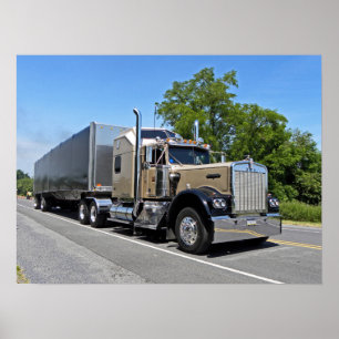 Poster de Mindy's W900A