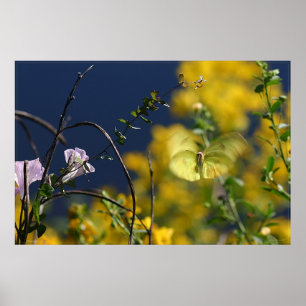 Poster de moment papillon -36x24 -plus petit dispo