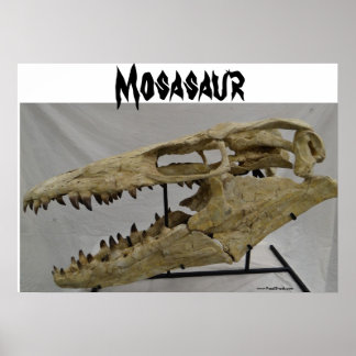 Poster de Mosasaur