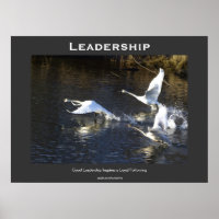 Poster de motivation des cygnes trompettes