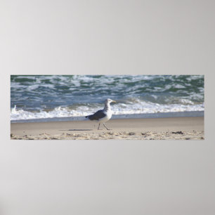 Poster de mouettes sur la plage