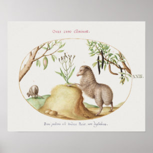 Poster de mouton vintage