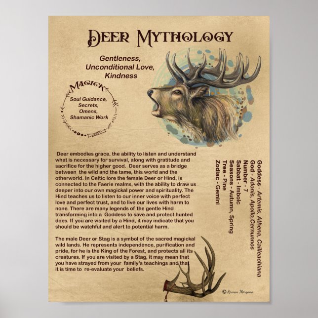 POSTER DE MYTHOLOGIE DE DEER (Devant)