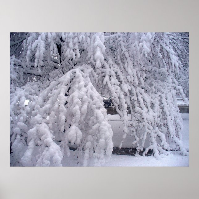 Poster De Neige En Avril (Devant)