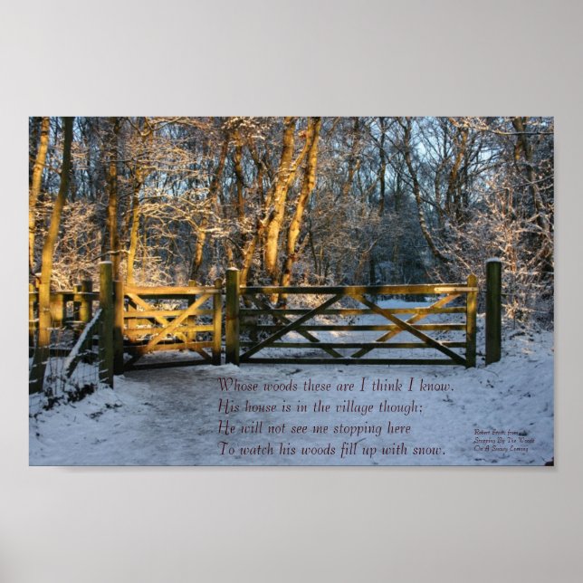 poster de neige et de lumière du soleil (Devant)
