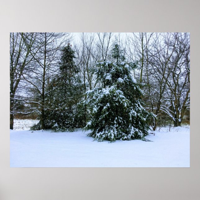 Poster de neige fraîche en hiver (Devant)