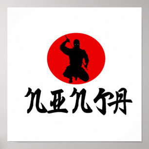Poster de Ninja