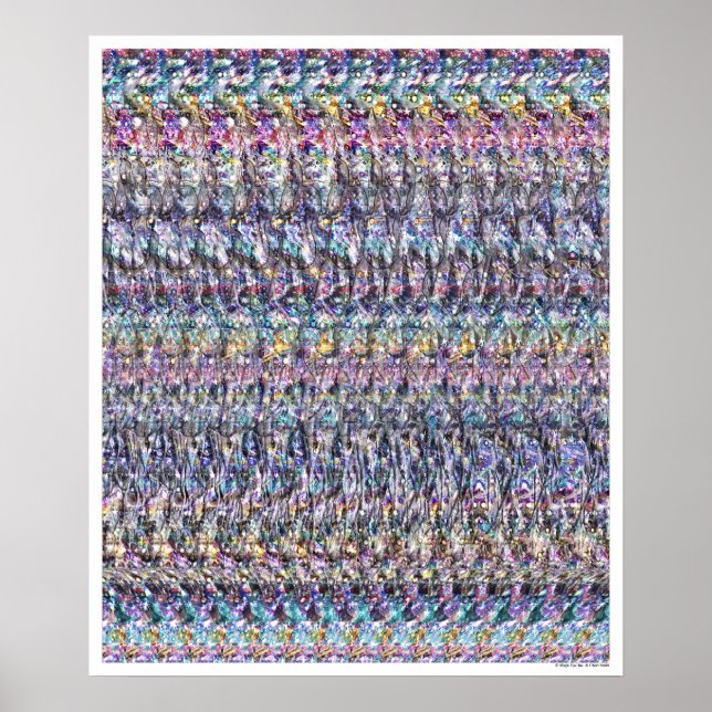 Poster de nuit (20 po x 24 po) (Devant)