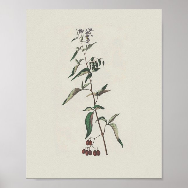 Poster de nuit en bois (Devant)