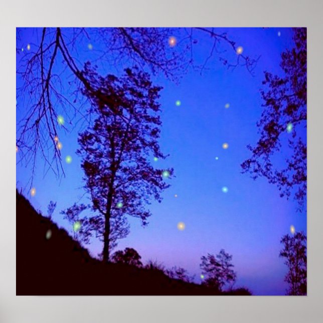 Poster de nuit enchanté (Devant)