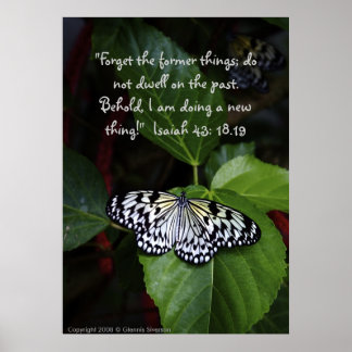 Poster de papillon blanc