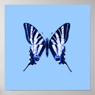 Poster de papillon bleu