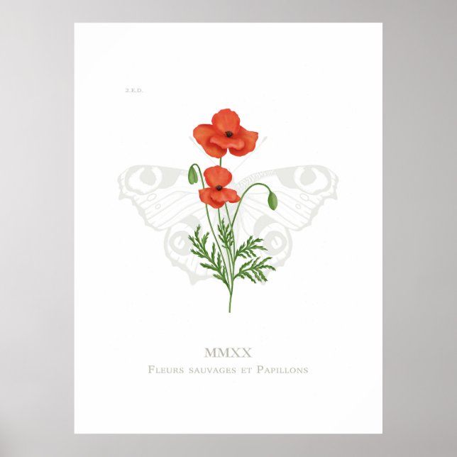 Poster de papillon de coquelicot et paon (Devant)