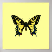 Poster de papillon jaune