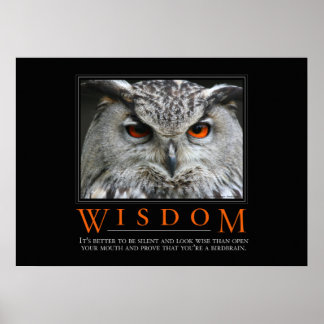 Poster de parodie Motivation de la sagesse