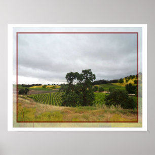 Poster de Paso Robles Pays du vin
