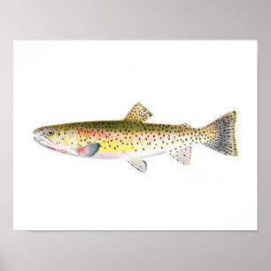 Poster de pêche - Poisson de truite de montagne