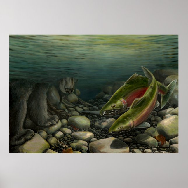 Poster de pêche sauvage Nature Pêche Ours Imprimer (Devant)