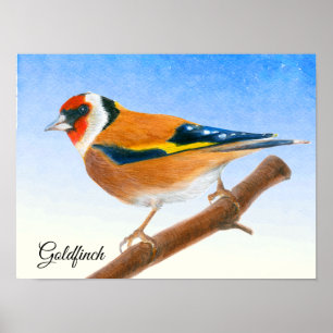 Poster de peinture à l'aquarelle d'Oiseau Goldfinc