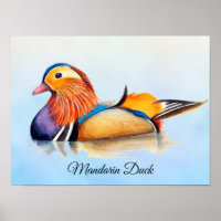 Poster de peinture à l'aquarelle Mandarin Duck