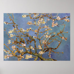Poster de peinture Van Gogh Almond Blossom