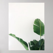 Poster de photographie Plante tropical Oiseau du P